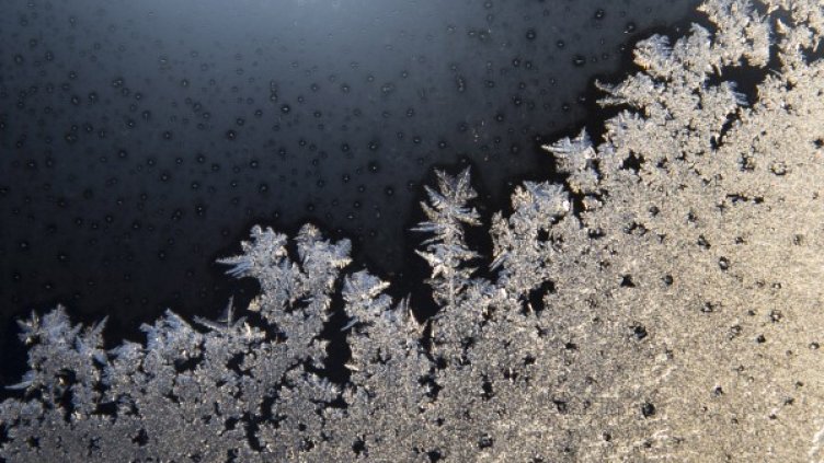 Снимка: Reuters, архив