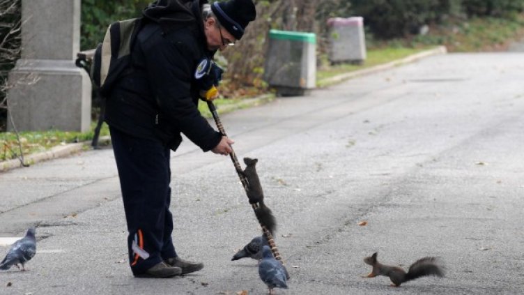 Снимка: архив "Булфото"