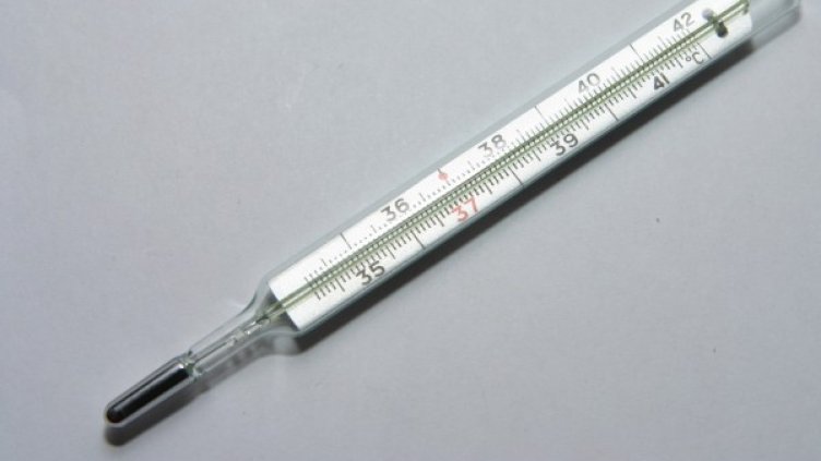 Снимка: freeimages