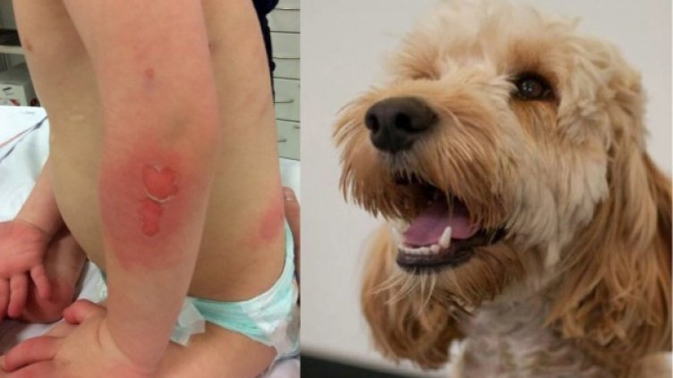 Снимка: Facebook