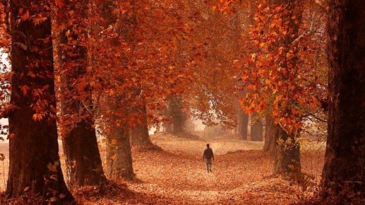 Снимка: Reuters, архив