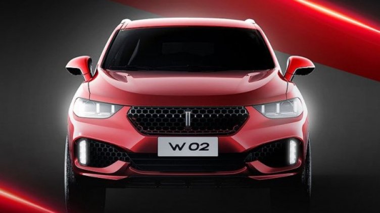 Снимки: Great Wall