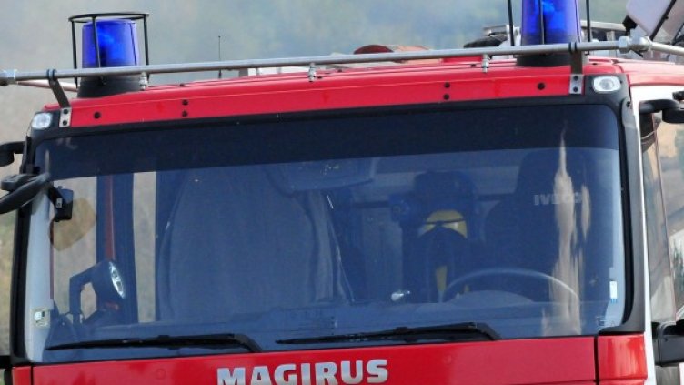 Снимка: архив Булфото