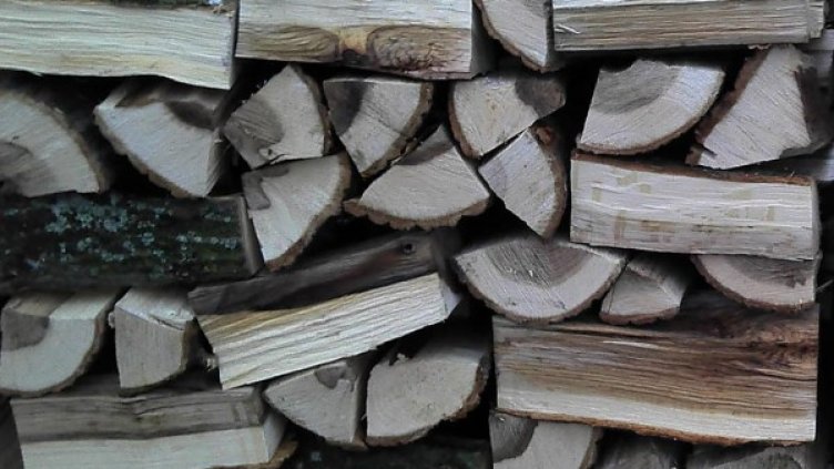 Снимка: Булфото, архив