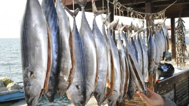 Снимка: архив Булфото