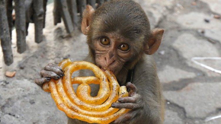 Снимка: Reuters, архив