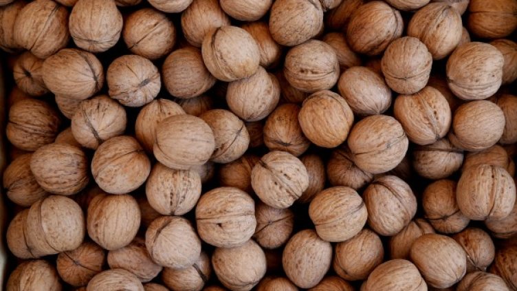 Снимка: Reuters, архив