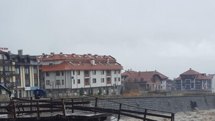 Снимка: Булфото, архив