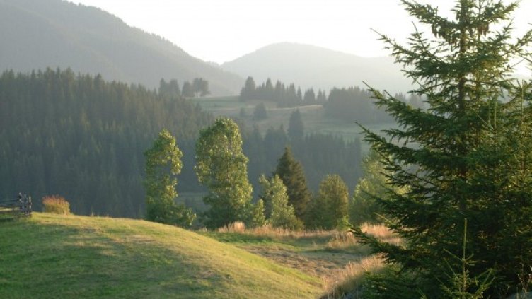 Архив: Булфото