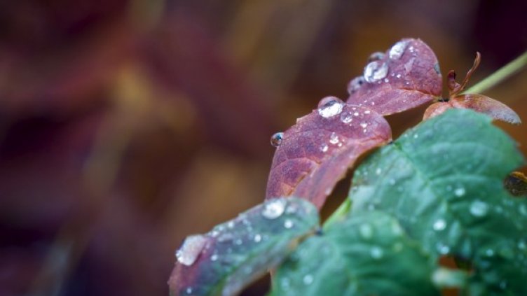 Снимка: архив, Reuters