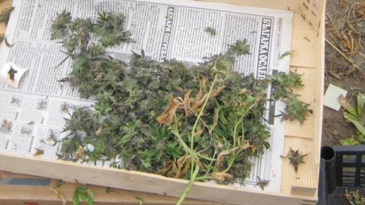 Снимка: Булфото, архив