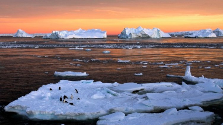 Снимка: Reuters, архив