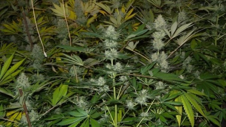 Снимка: МВР