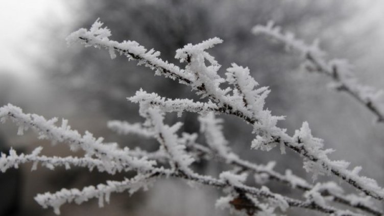 Снимка: архив, БулФото