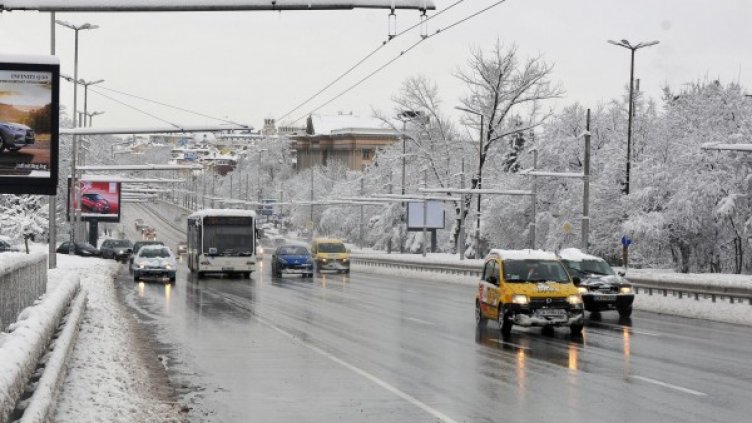 Архив: Булфото