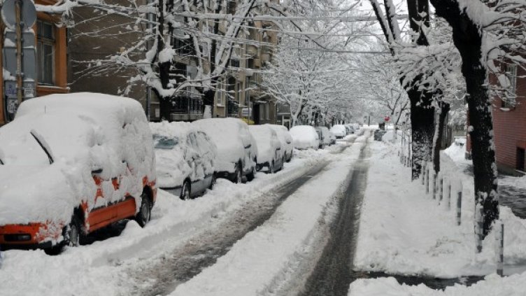 Снимка: архив Булфото