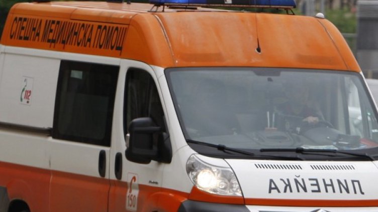 Снимка: архив Булфото