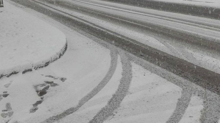 Снимка: Dnes.bg