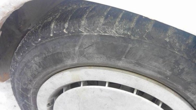 Снимка: архив Булфото