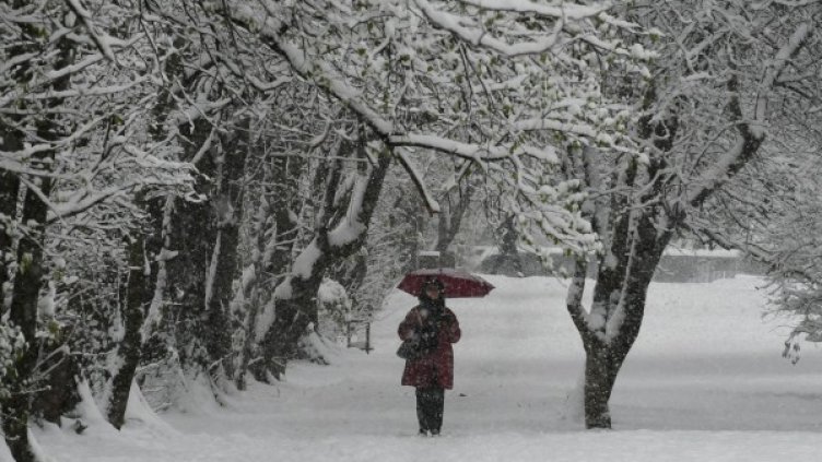 Снимка: Булфото