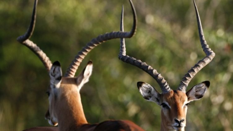 Снимка: архив, Reuters