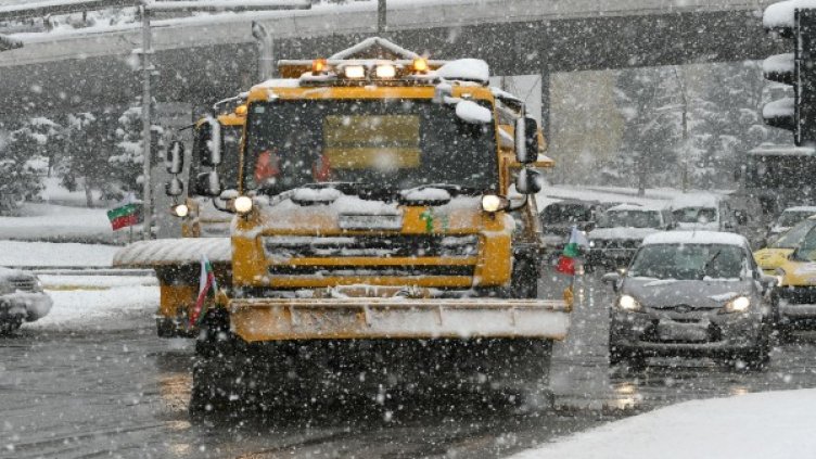 Снимка: Булфото