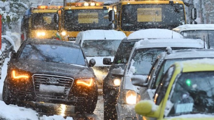 Снимка: Булфото