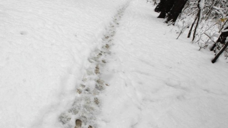 Снимка: Олег Попов / Dnes.bg