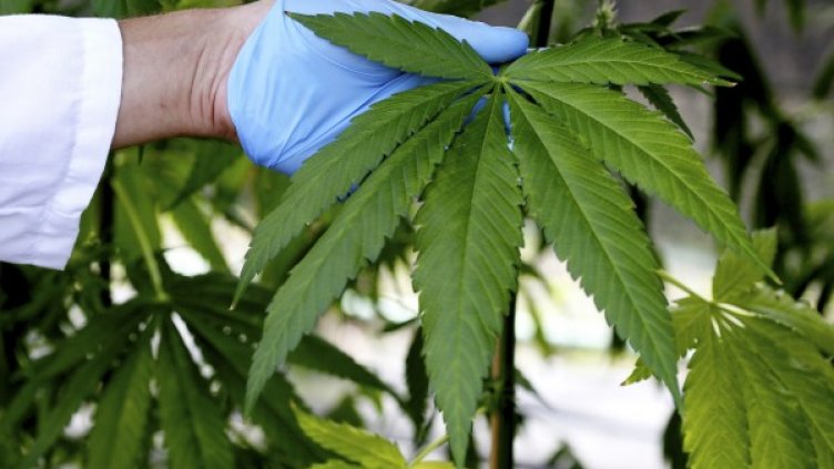 Снимка: Reuters, архив