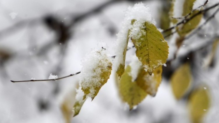 Снимка: архив, Олег Попов, Dnes.bg