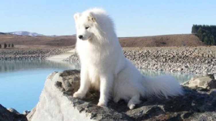 Снимка: Facebook