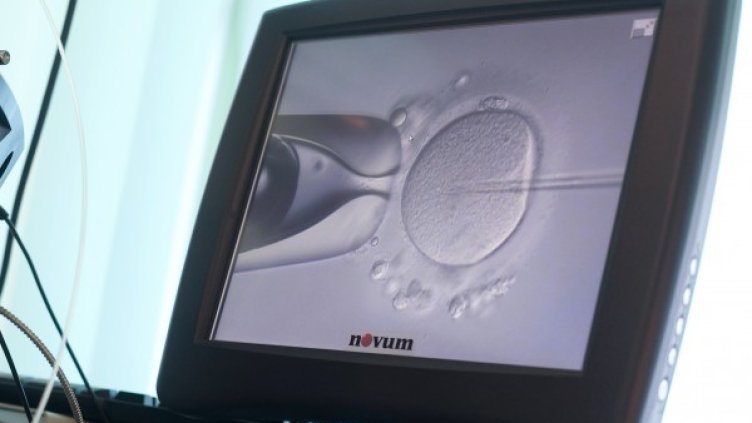 Снимка: Reuters, архив