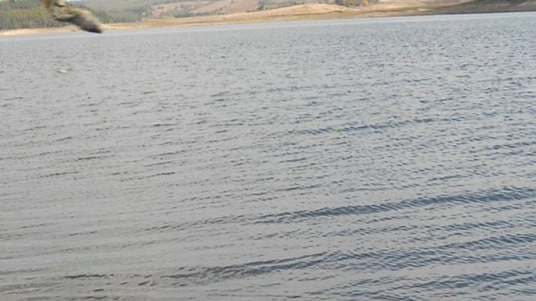 Снимка: архив, БулФото