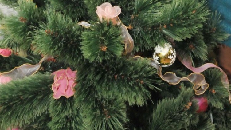 Снимка: архив, БулФото