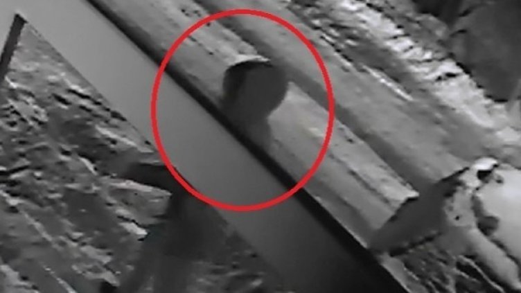 Снимка: Dnes.bg