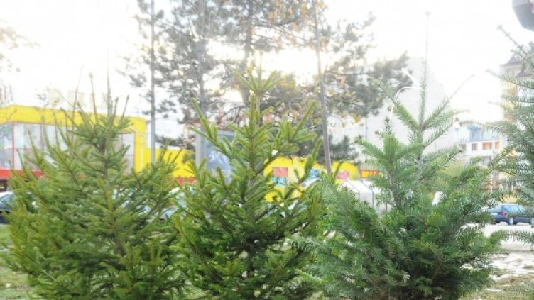 Снимка: архив, Булфото