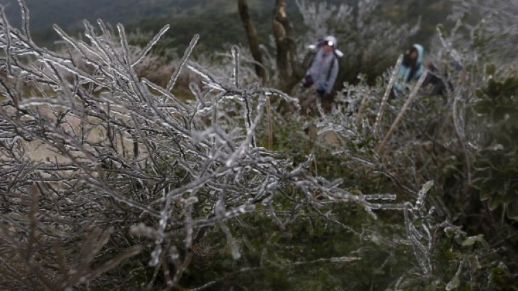 Снимка: Reuters, архив