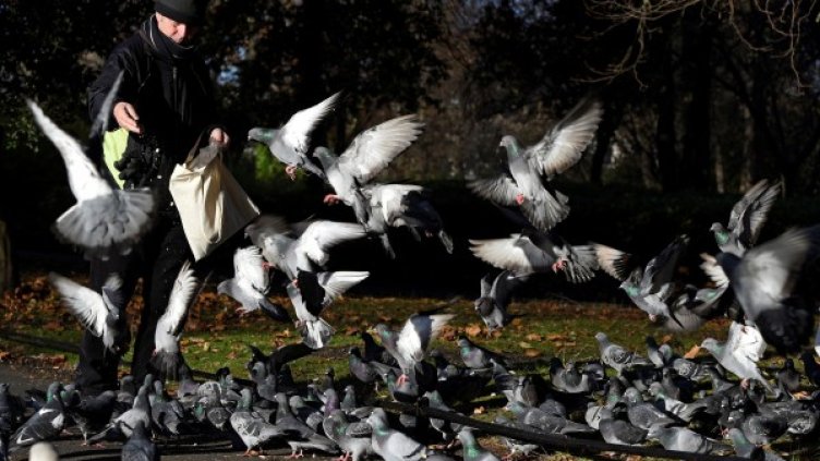 Снимка: Reuters, архив