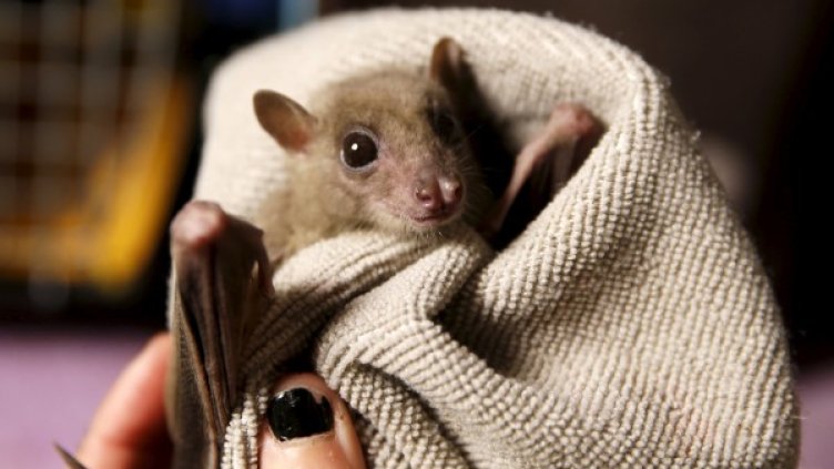 Снимка: Reuters, архив