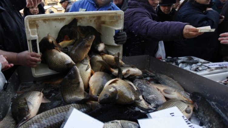 Снимка: Олег Попов / Dnes.bg