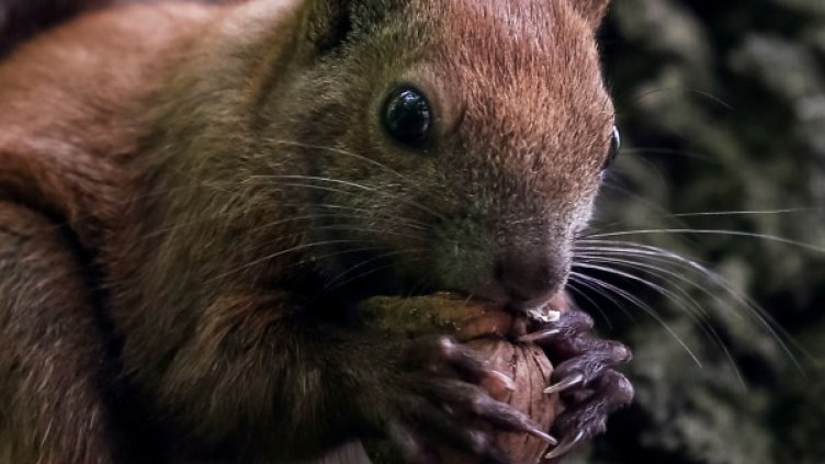 Снимка: Reuters, архив