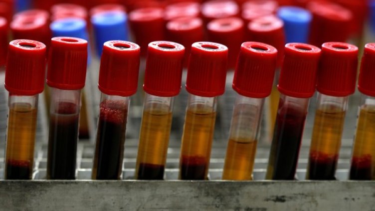 Снимка: Reuters, архив