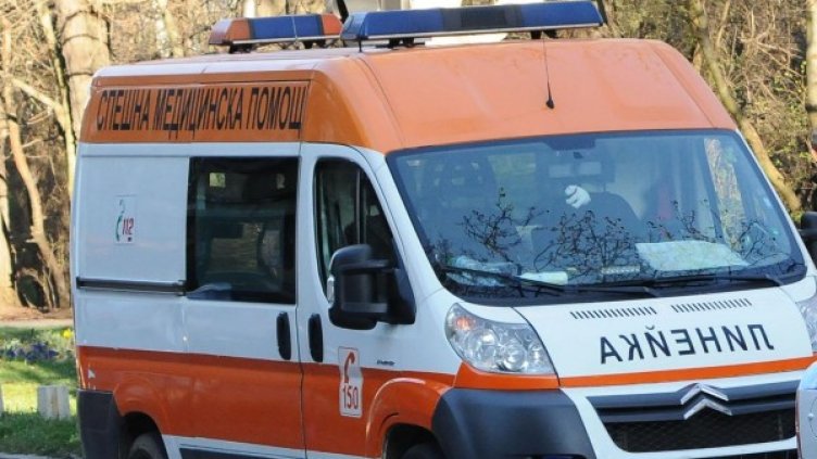 Снимка: Булфото, архив