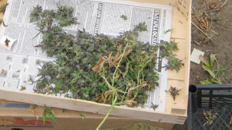 Снимка: Булфото, архив