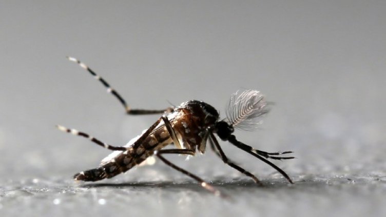 Снимка: Reuters, архив