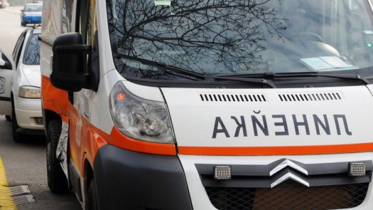 Снимка: Булфото, архив