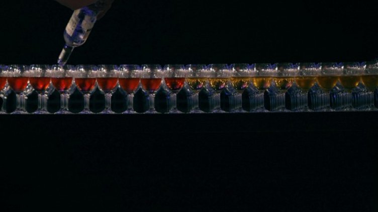 Снимка: Reuters, архив