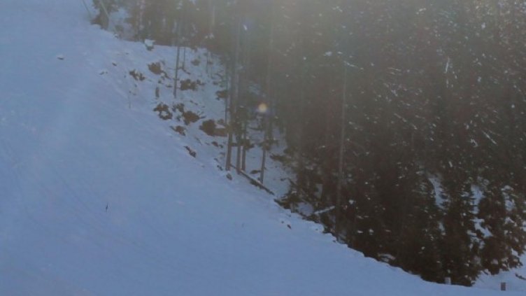 Снимка: архив, БулФото