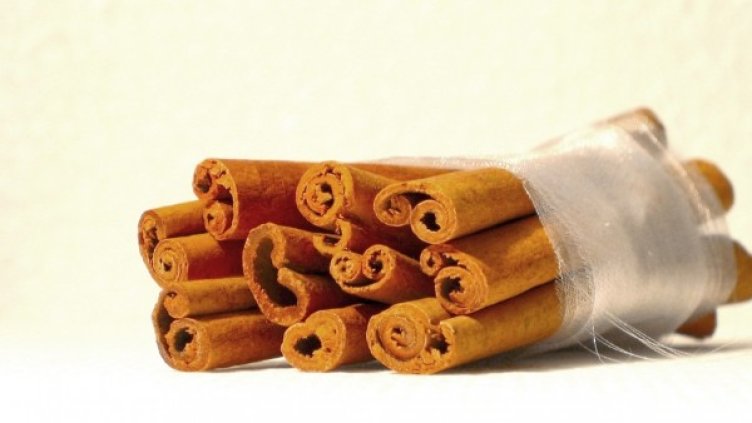 Снимка: freeimages