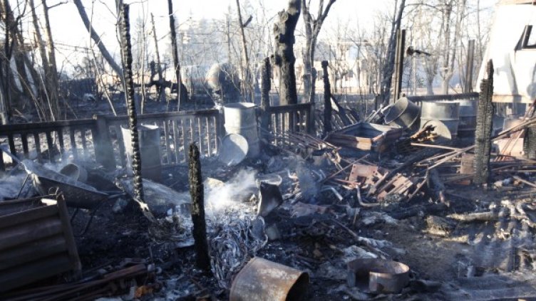 Снимка: Олег Попов, Dnes.bg